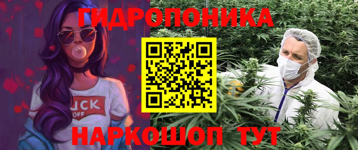 Шишки марихуана сатива  МАРИХУАНА Ganja  Конопля планчик  Вход с VPN  Жигулёвск 
